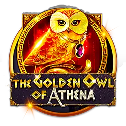 playzone log in how to win football bet easily